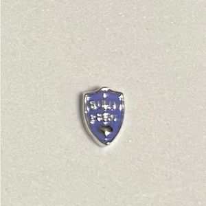 Origami Owl Awareness Bully Proof Shield Charm